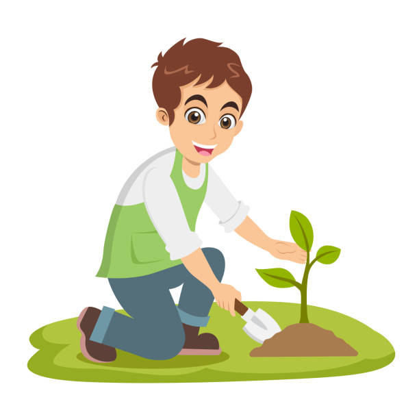 Volunteer | Plant Trees